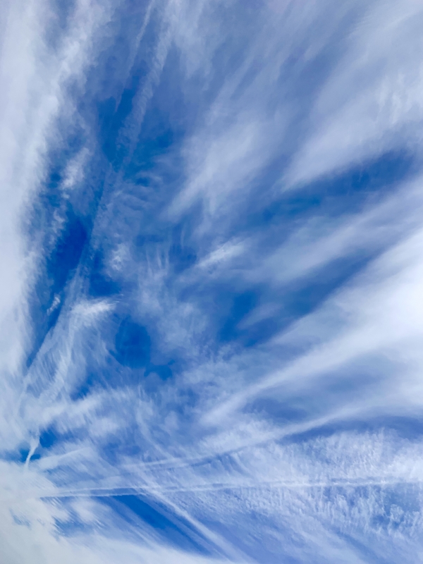 In the Sky by artist Andres Cavazos